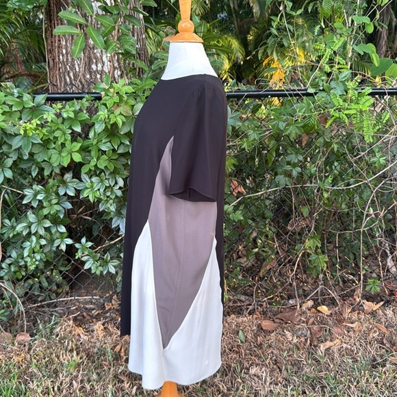 Eileen Fisher Silk Color Block Shift Dress, size medium - Picture 5 of 7